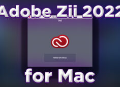 Adobe Zii 2022